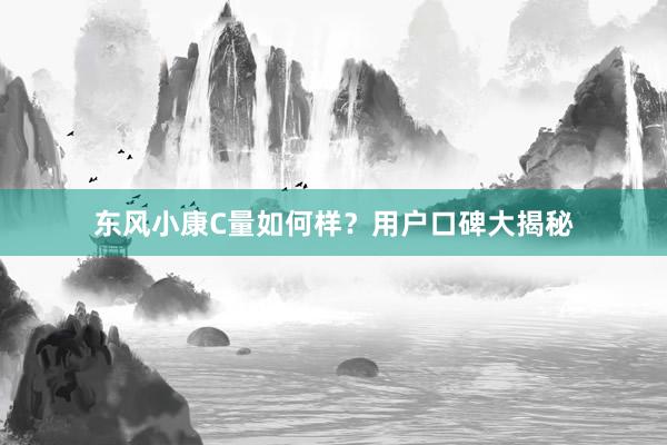 东风小康C量如何样？用户口碑大揭秘