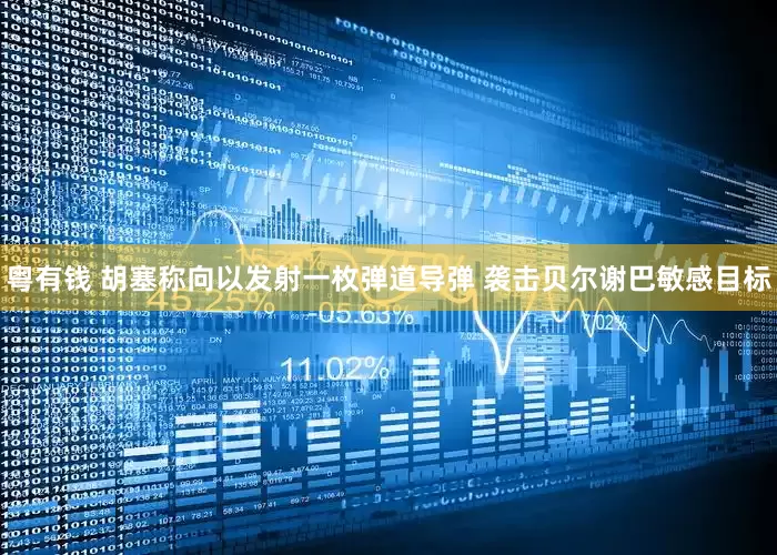 粤有钱 胡塞称向以发射一枚弹道导弹 袭击贝尔谢巴敏感目标