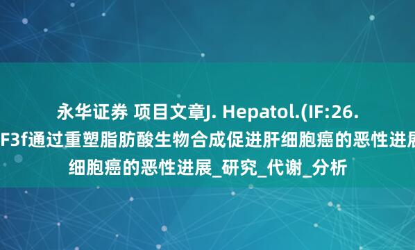 永华证券 项目文章J. Hepatol.(IF:26.8)｜多组学揭示eIF3f通过重塑脂肪酸生物合成促进肝细胞癌的恶性进展_研究_代谢_分析