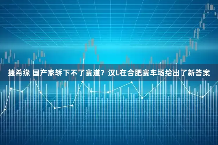 捷希缘 国产家轿下不了赛道？汉L在合肥赛车场给出了新答案