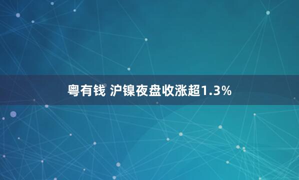 粤有钱 沪镍夜盘收涨超1.3%