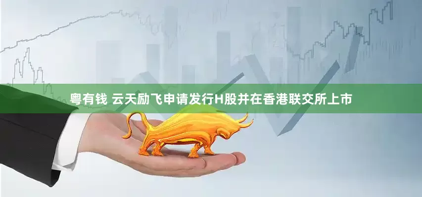 粤有钱 云天励飞申请发行H股并在香港联交所上市