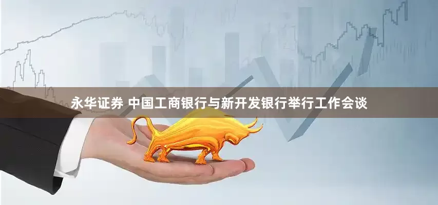 永华证券 中国工商银行与新开发银行举行工作会谈
