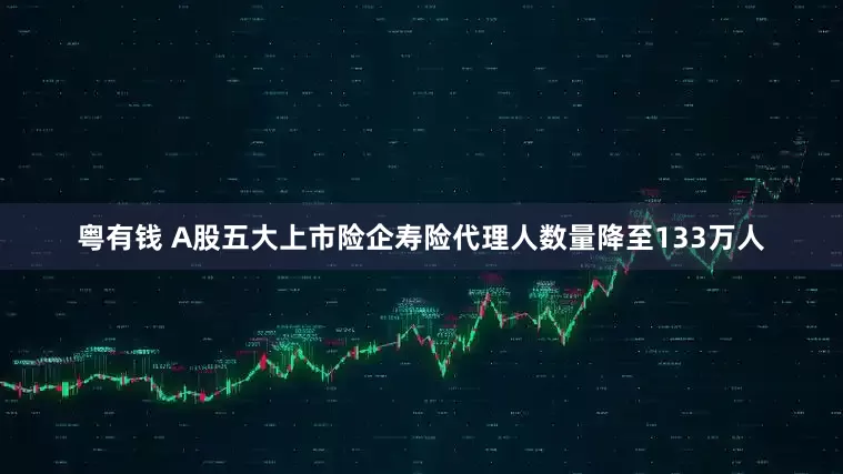 粤有钱 A股五大上市险企寿险代理人数量降至133万人